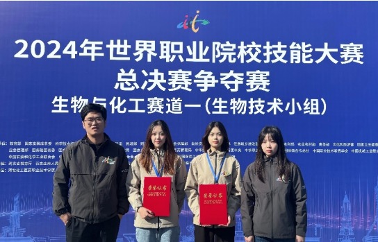 公司喜获2024年世界职业院校技能大赛二等奖